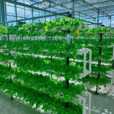Canopy de invernadero de doble capa con buena transmisión de la luz y función Multi Span