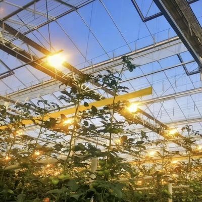 Concurrente pago inicial invernadero para oasis botánico recinto un tipo de techo