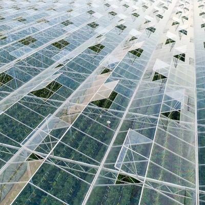 Concurrente pago inicial invernadero para oasis botánico recinto un tipo de techo