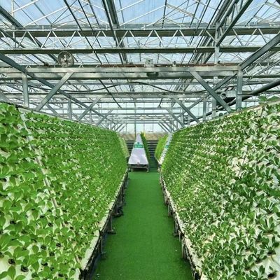 Concurrente pago inicial invernadero para oasis botánico recinto un tipo de techo