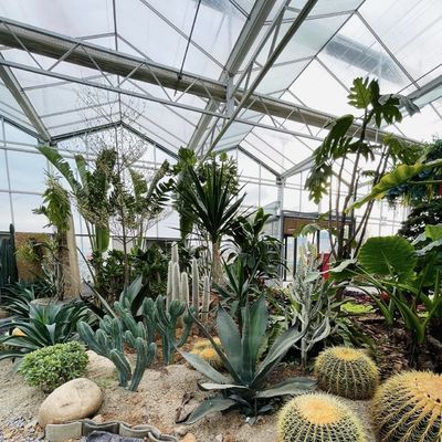 Sistema de hidroponía de invernadero para el cultivo de flores Materiales de construcción Estructura de acero