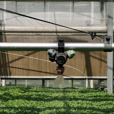 Invernadero de vidrio hidropónico de doble capa para el cultivo de flores asequible y duradero