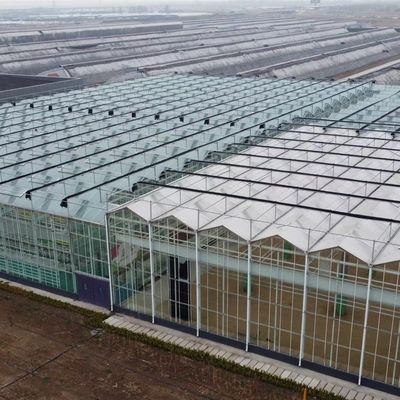 Sistema hidropónico de invernadero grande con un paquete de rendimiento y un peso bruto de 100.000 kg