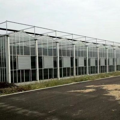 Paquete Tamaño 50,00cm * 60,00cm * 80,00cm Invernadero de vidrio para hidroponía de flores