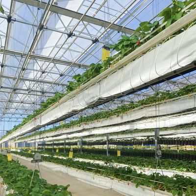 Paquete Tamaño 50,00cm * 60,00cm * 80,00cm Invernadero de vidrio para hidroponía de flores