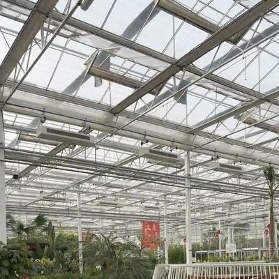 Invernadero hidropónico de vidrio con alta transmisión de luz para cultivo comercial de flores EE.UU.
