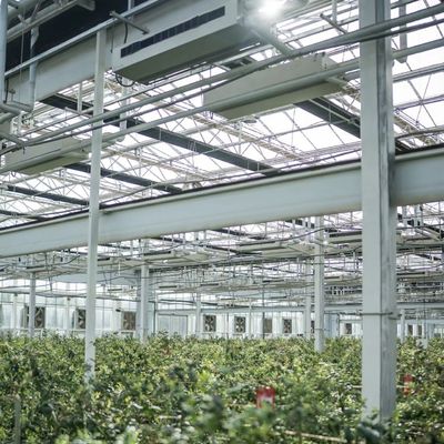 Invernadero de vidrio hidropónico con pantalla de sombreado para el cultivo de flores dentro de un techo tipo