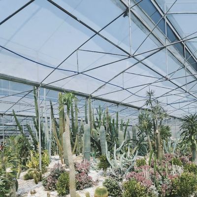 Invernadero de vidrio hidropónico con pantalla de sombreado para el cultivo de flores dentro de un techo tipo