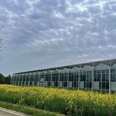 Invernadero de vidrio hidropónico con pantalla de sombreado para el cultivo de flores dentro de un techo tipo
