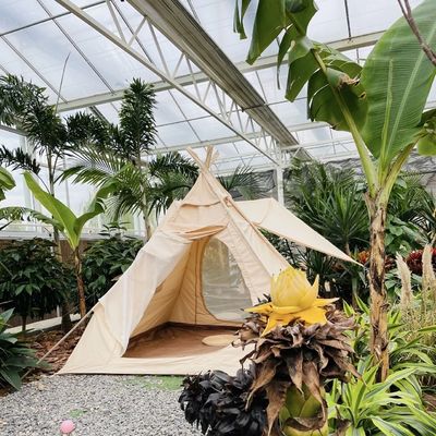 Transforme su negocio de cultivo de flores con invernadero de vidrio hidropónico de una sola capa