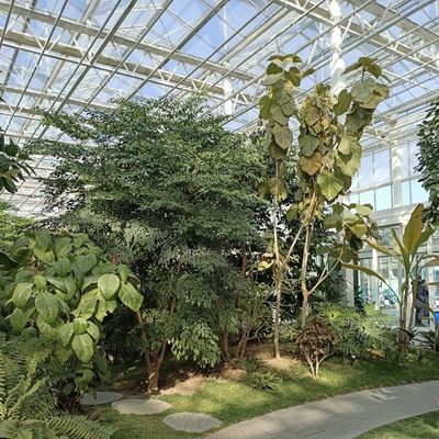 Sistema de hidroponía de invernadero de vidrio para el cultivo de flores un tipo de techo solicitud personalizada