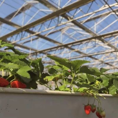 Sistema de hidroponía de invernadero de vidrio para el cultivo de flores un tipo de techo solicitud personalizada