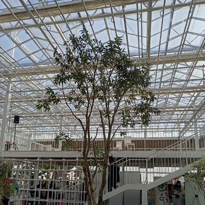 Invernadero comercial hidropónico de tipo A personalizado para el cultivo y la agricultura de flores