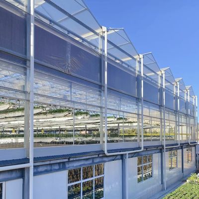 Invernadero comercial hidropónico de tipo A personalizado para el cultivo y la agricultura de flores