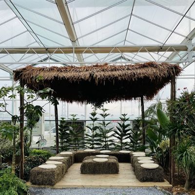 Gran estructura de acero de riego por goteo Invernadero de vidrio para flores y verduras