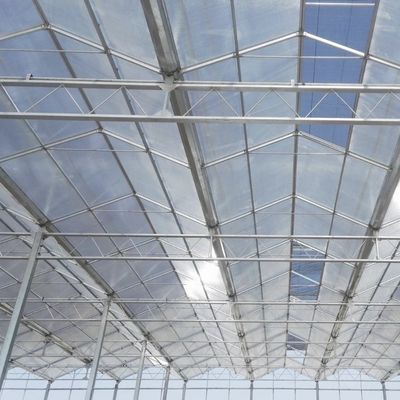 Estructura de acero Invernadero de vidrio para flores Construcción fuerte y resistente