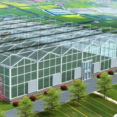 Sistema de hidroponía de invernadero de vidrio de doble capa para el cultivo de flores 30 días de devolución