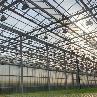 Instalación hidropónica de vidrio de alta transmisión de luz para invernaderos comerciales con pago completo