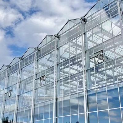Invernadero de vidrio de una sola capa para el cultivo de hortalizas mejora la eficiencia de su cultivo