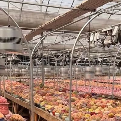 Invernadero de vidrio flotante para vegetales Diseño multi-espacio Solicitud personalizada aceptada