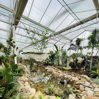 Invernadero de vidrio flotante para vegetales Diseño multi-espacio Solicitud personalizada aceptada