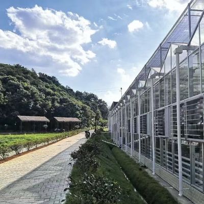 Invernadero de vidrio flotante para vegetales Diseño multi-espacio Solicitud personalizada aceptada