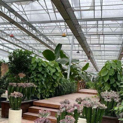 Sistema hidropónico de invernadero de vidrio de pantalla de sombreado grande para un cultivo óptimo