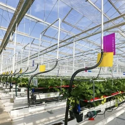 Sistema hidropónico de invernadero de vidrio de pantalla de sombreado grande para un cultivo óptimo