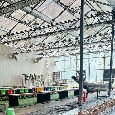 Pago inicial Invernadero de vidrio de origen chino con sistema hidropónico de múltiples tramos
