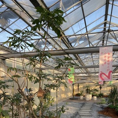 Invernadero de vidrio de alta transmisión luminosa para verduras Restituciones de devolución Hasta 30 días