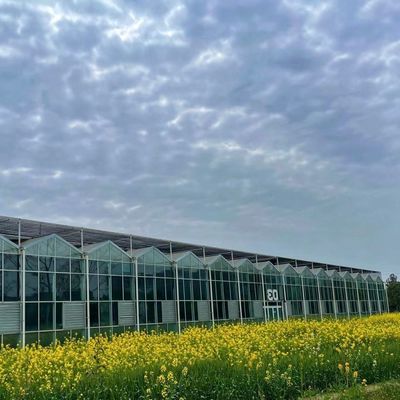 Invernadero de vidrio elegante con vegetales hidropónicos mejora la eficiencia agrícola