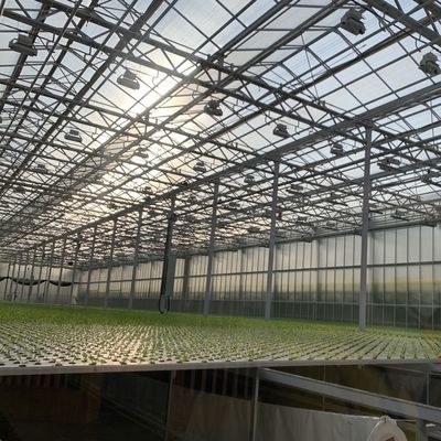 Invernadero de vidrio elegante con vegetales hidropónicos mejora la eficiencia agrícola