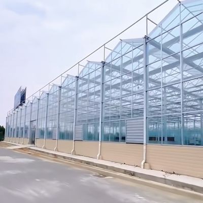 Sistema hidropónico Invernadero de vidrio multifuncional JX-A00303 para un crecimiento óptimo de los cultivos