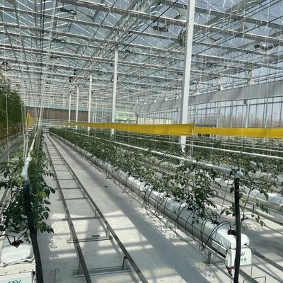 Sistema hidropónico Invernadero de vidrio multifuncional JX-A00303 para un crecimiento óptimo de los cultivos