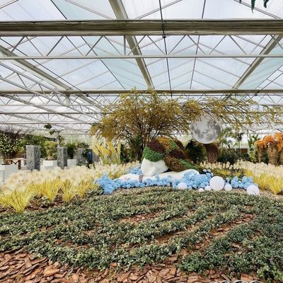 Invernadero de cristal de estructura de acero para el cultivo de vegetales grande y multifuncional