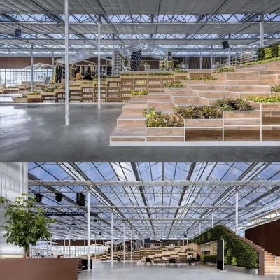 Invernadero de cristal de estructura de acero para el cultivo de vegetales grande y multifuncional