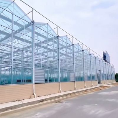 Invernadero de vidrio de origen chino con vegetales hidropónicos