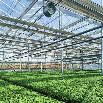 Sistema hidropónico de invernadero de vidrio de precio razonable para una utilización máxima del espacio