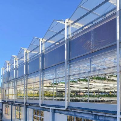 Sistema hidropónico vegetal de invernadero de vidrio para una máxima eficiencia hídrica