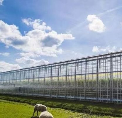 Invernadero de vidrio hidropónico con sistema de pantalla de sombreado Peso bruto 80.000 kg