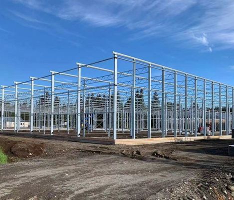 Invernadero de vidrio hidropónico con sistema de pantalla de sombreado Peso bruto 80.000 kg
