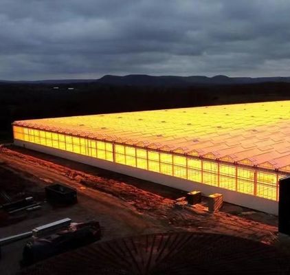Invernadero de vidrio hidropónico con sistema de pantalla de sombreado Peso bruto 80.000 kg