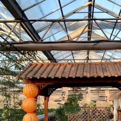 El cultivo de vegetales hidropónicos avanzados en invernaderos grandes de vidrio