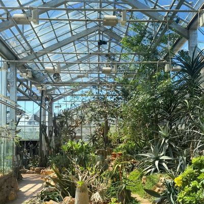 El cultivo de vegetales hidropónicos avanzados en invernaderos grandes de vidrio
