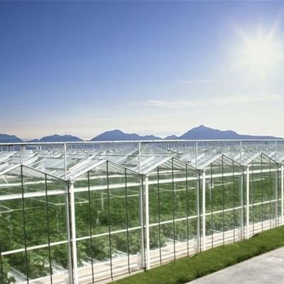 El cultivo de vegetales hidropónicos avanzados en invernaderos grandes de vidrio