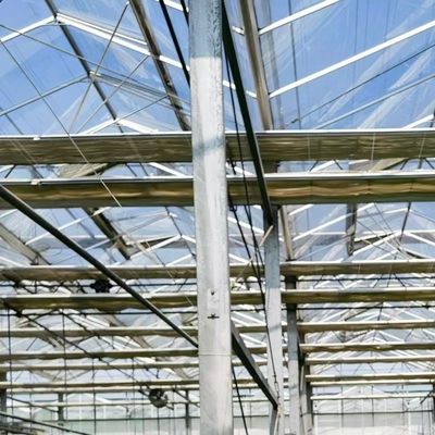 Un tipo de invernadero de techo de vidrio para vegetales hidropónicos en condiciones óptimas de crecimiento