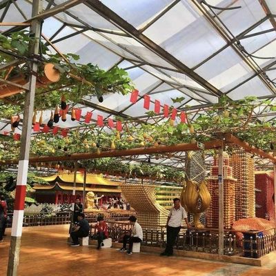 Invernadero de vidrio para el cultivo de vegetales hidropónicos