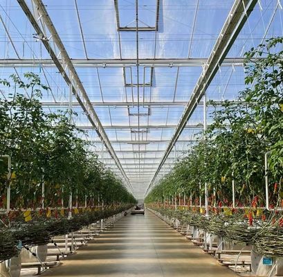 US Float Single Span Greenhouse para hortalizas/frutas/flores y devoluciones