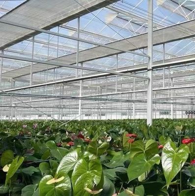 US Float Single Span Greenhouse para hortalizas/frutas/flores y devoluciones
