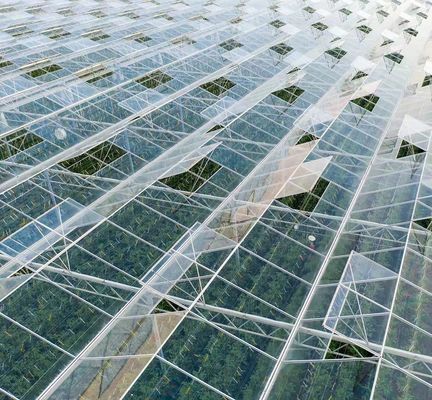 US Float Single Span Greenhouse para hortalizas/frutas/flores y devoluciones